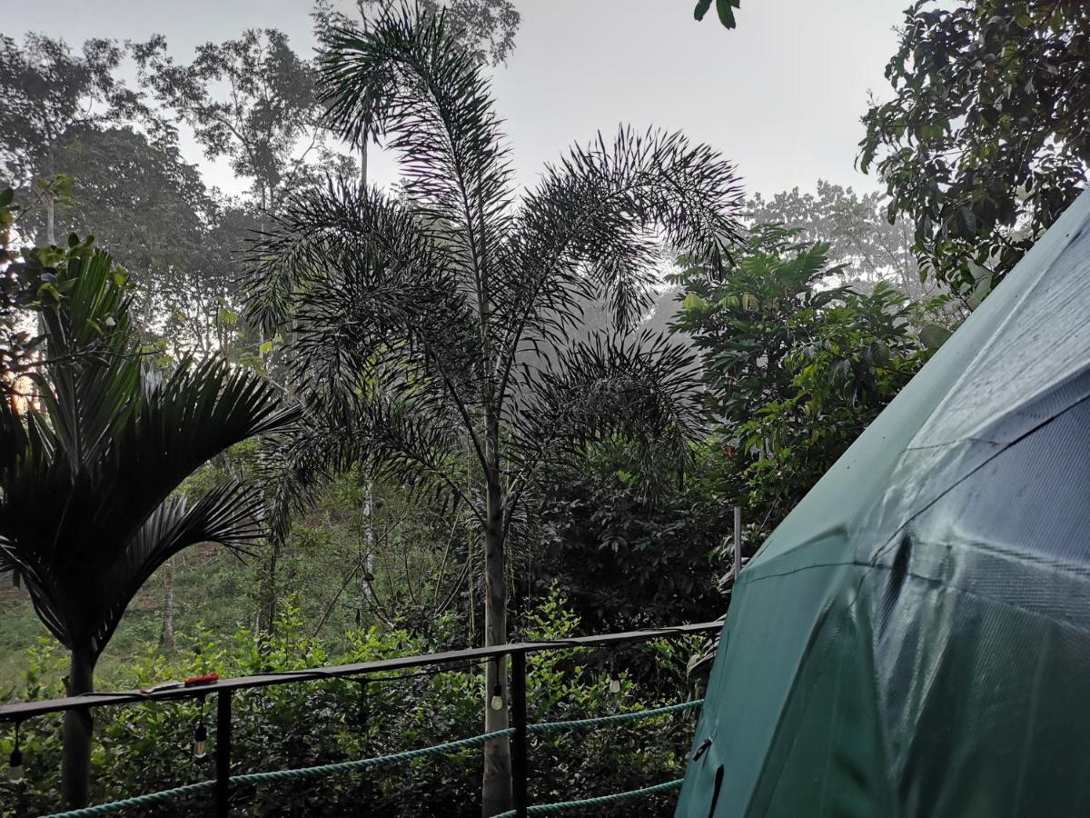 Momotus Glamping Hotel Florencia Exterior foto