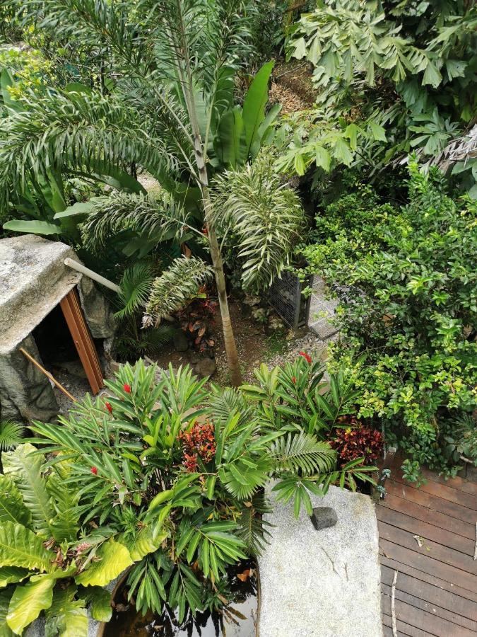 Momotus Glamping Hotel Florencia Exterior foto