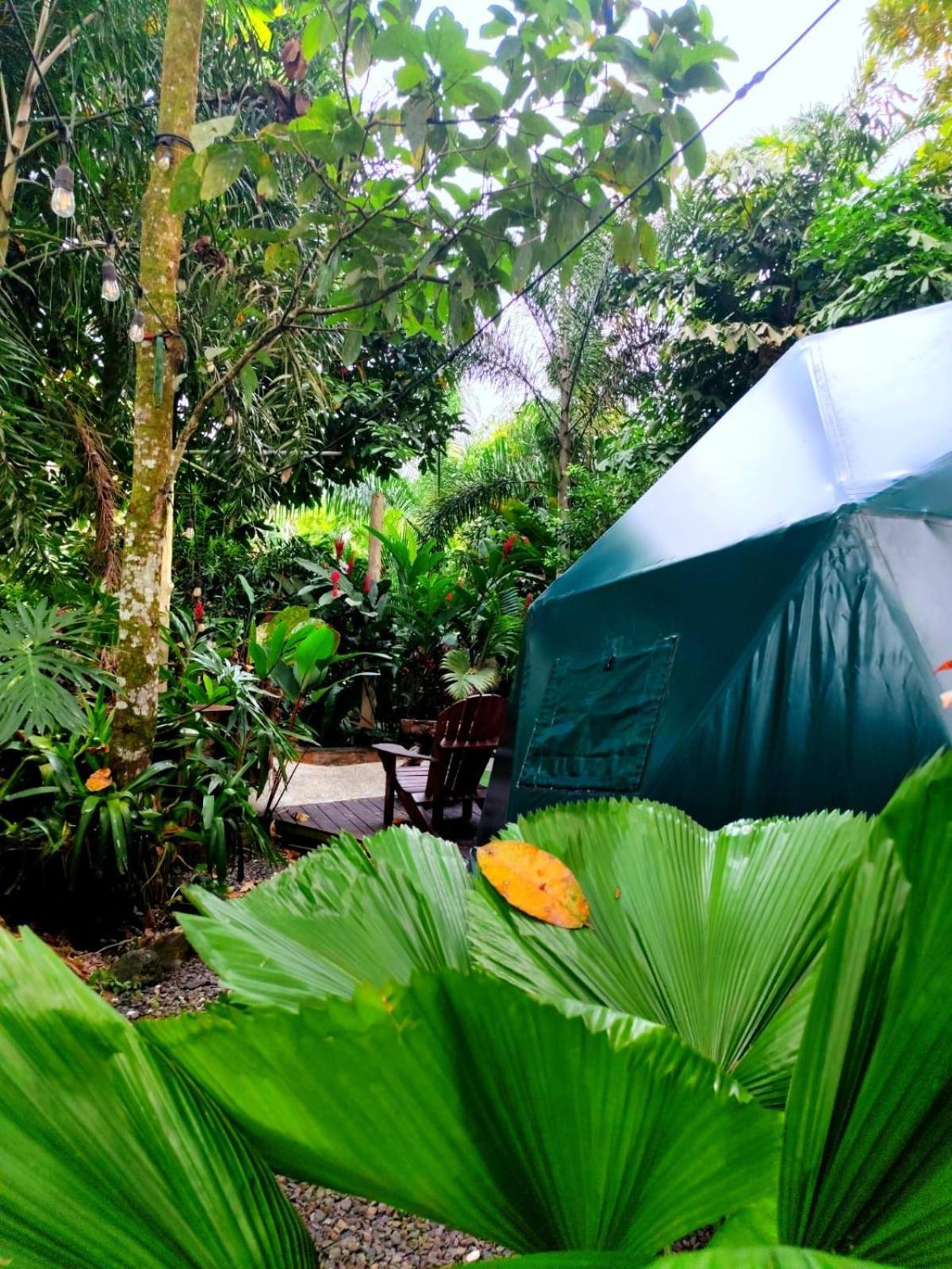 Momotus Glamping Hotel Florencia Exterior foto